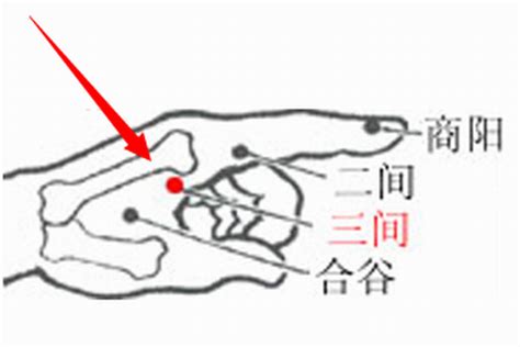 三間穴位置|合谷穴是人體最重要的萬能穴道，一定要學！